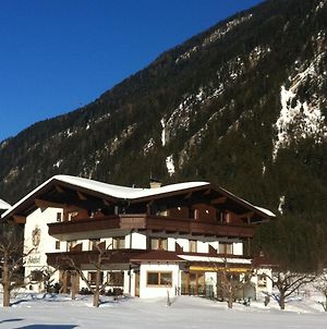 Hotel-Garni Almhof Mayrhofen Exterior photo