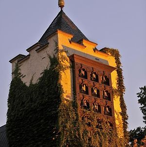 Hôtel Breuer'S Rudesheimer Schloss à Rüdesheim am Rhein Exterior photo