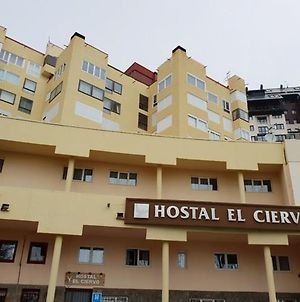 Hôtel El Ciervo à Sierra Nevada Exterior photo