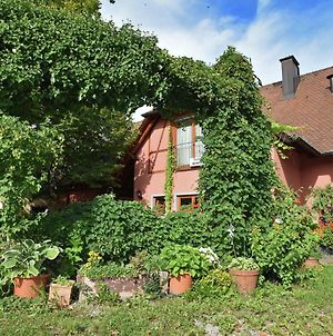 Comfortable Apartment In Freiburg With Garden Schallstadt Exterior photo
