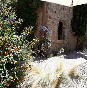 Maison d'hôtes Can Carbo De Les Olives à Peralada Exterior photo