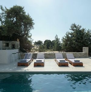 Villa Cedar Forest Alyko à Naxos City Exterior photo
