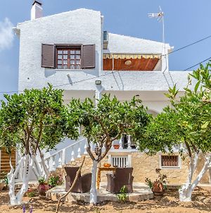 Charming Agia Pelagia Green House Agia Pelagia (Crete) Exterior photo