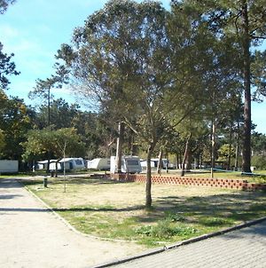Hôtel Orbitur Caminha Bungalows - Caravan Park Exterior photo
