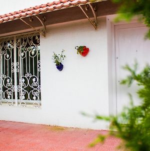 Villa Studio De Charme Amilcar Sidi Bou Ali Exterior photo