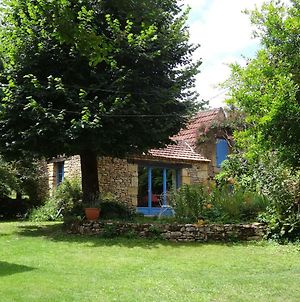 Villa Noisette&Co à Saint-Cyprien  Exterior photo