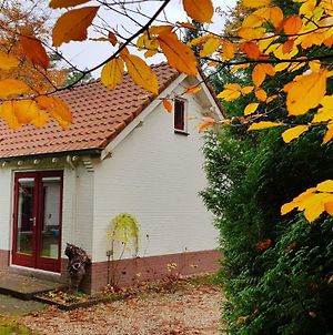 Villa Dennenhuis à Vaassen Exterior photo