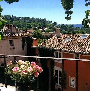 Appartement La Dame Au Balcon à Roussillon en Isere Exterior photo