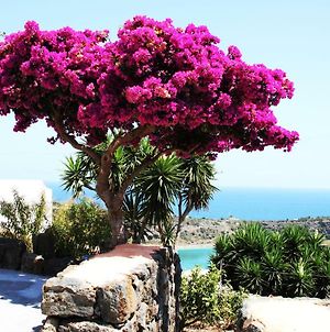 Appartement Venus Dream à Pantelleria Island Exterior photo