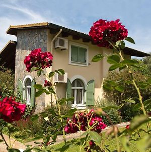 Villa Achilles Country House à Corfu  Exterior photo