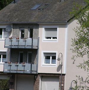 Appartement Haus Sonnentag à Bad Bertrich Exterior photo