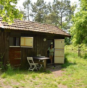 Maison d'hôtes Cabane en forêt à Onesse-et-Laharie Exterior photo