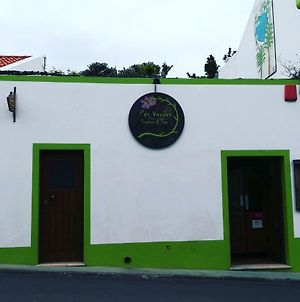 Auberge de jeunesse Pés Verdes-Alojamento e Chá à Ponta Delgada Exterior photo