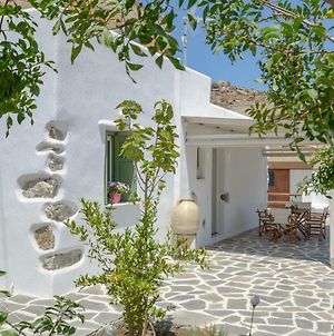 Villa Naxos Traditional House In Galini Exterior photo