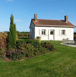 Villa l'Ecrin au coeur des vignes à Saint-Georges-sur-Cher Exterior photo