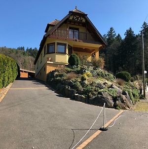 Villa Buhl de Bonheur à Guebwiller Exterior photo