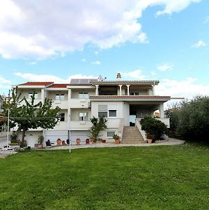 Villa Micic Zadar Exterior photo