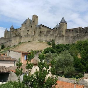 Face à la Cité une vue SUBLIME Carcassonne Exterior photo