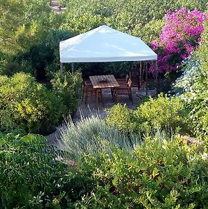 Villa Aegina'S Oasis Exterior photo