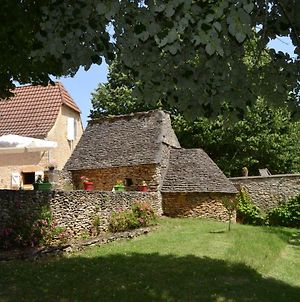 Villa La Clef des Champs à Saint-Leon-sur-Vezere Exterior photo