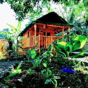 Moalboal Bamboo House / Rooms Exterior photo