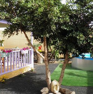 Hôtel Chalet en oasis privado à La Vegueta Exterior photo