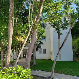 Appartement Alborada, Sol Del Caribe à Puerto Morelos Exterior photo