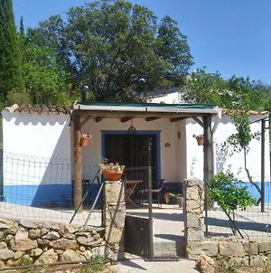 Villa Casinha Do Sul à District de District de Faro Exterior photo