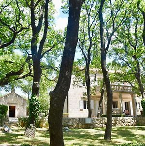 Villa Tereza Čilipi Exterior photo