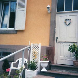Appartement Les Hortensias à Sainte-Marie-aux-Mines Exterior photo
