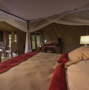 Hôtel River Camp à Serengeti Exterior photo