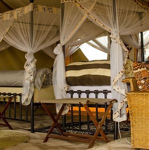 Hôtel Mawe Luxury Tented Camp à Serengeti Exterior photo
