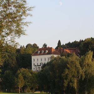 Hôtel Schloss Ernegg à Steinakirchen Am Forst Exterior photo