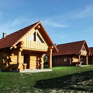 Villa Na Samote Ve Srubu à Plzeň Exterior photo