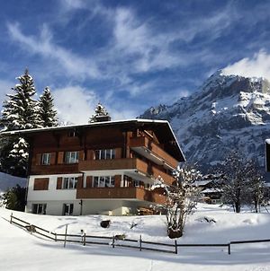 Appartement Brand New, 5Min To Ski Paradise ! à Grindelwald Exterior photo