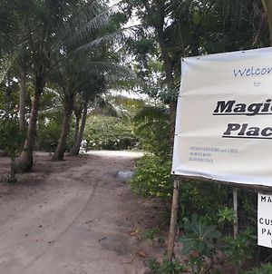 Magic'S Place Moalboal Exterior photo