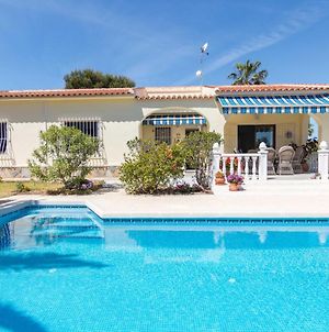 Charming One-Floor Villa With Private Pool In Los Balcones Torrevieja Exterior photo