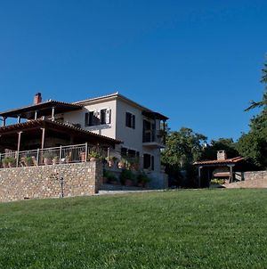 Villa Ktyma Elia, Portaria, Katochori à Vólos Exterior photo