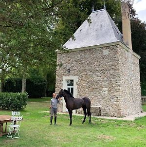 Romantic anciens cottage in a beautiful park La Fontaine-Saint-Martin Exterior photo