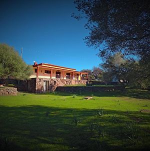 Villa Agriturismo Conca' E Janas à Dorgali Exterior photo