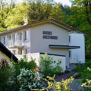 Busses Guesthouse Fribourg im Breisgau Exterior photo