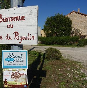Gîte du Pagoulin - Gîte Hyères Exterior photo