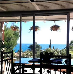Appartement Studio a Collioure a 400 m de la plage avec vue sur la mer jardin clos et wifi Exterior photo