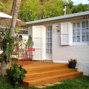Studio At Boucan Canot 300 M Away From The Beach With Enclosed Garden And Wifi Exterior photo