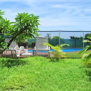 Appartement Studio a Saint Leu a 500 m de la plage avec piscine partagee jardin clos et wifi Exterior photo