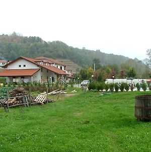 Villa Agri Bertorella à Coni Exterior photo