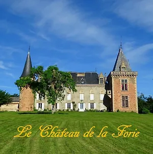 Château de la Forie Saint-Etienne-sur-Usson Exterior photo