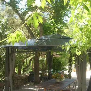Demeure traditionnelle en pierre avec piscine Sartène Exterior photo