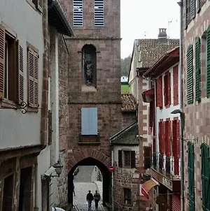 Saint Jean Pied de Port. Centre Ville. Rue Piétonne Exterior photo