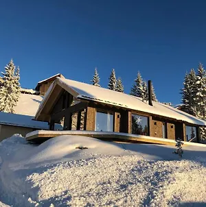 Modern New Large Cabin Ski In Out Sjusjoen Exterior photo